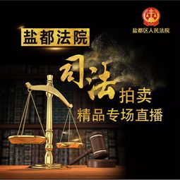 鹽都法院5.20司法拍賣精品等您帶走，法規解讀與操作指南